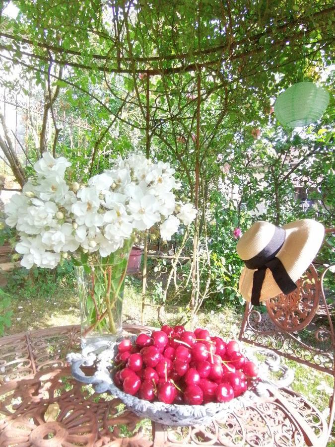 Chambre D'Hotes Les Magnolias Pontpierre Buitenkant foto